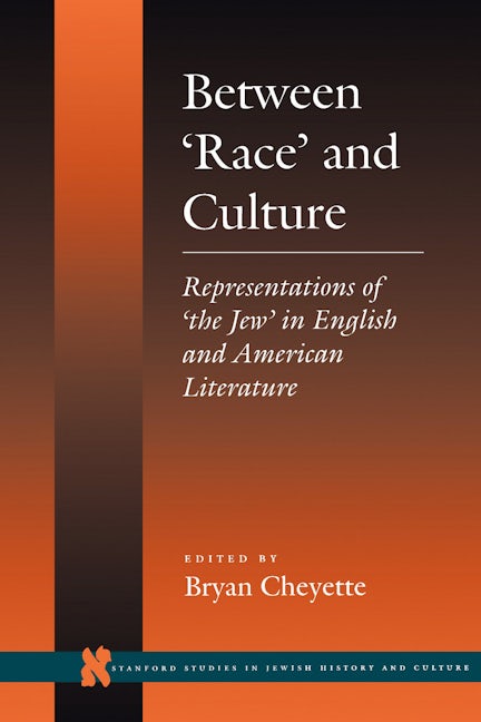 Book cover image for Between ‘Race’ and Culture ISBN: 9780804726351